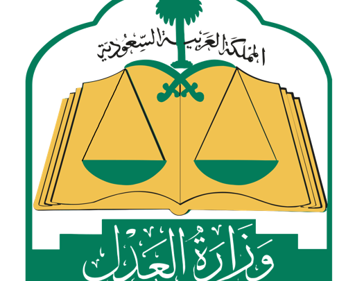 الاستعلام عن قضية