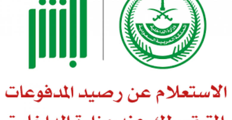 الاستعلام عن رصيد المدفوعات